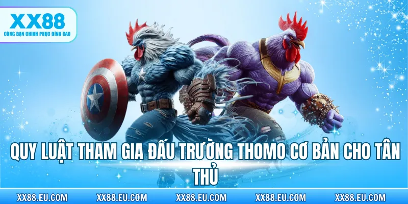 Quy luật tham gia đấu trường Thomo cơ bản cho tân thủ